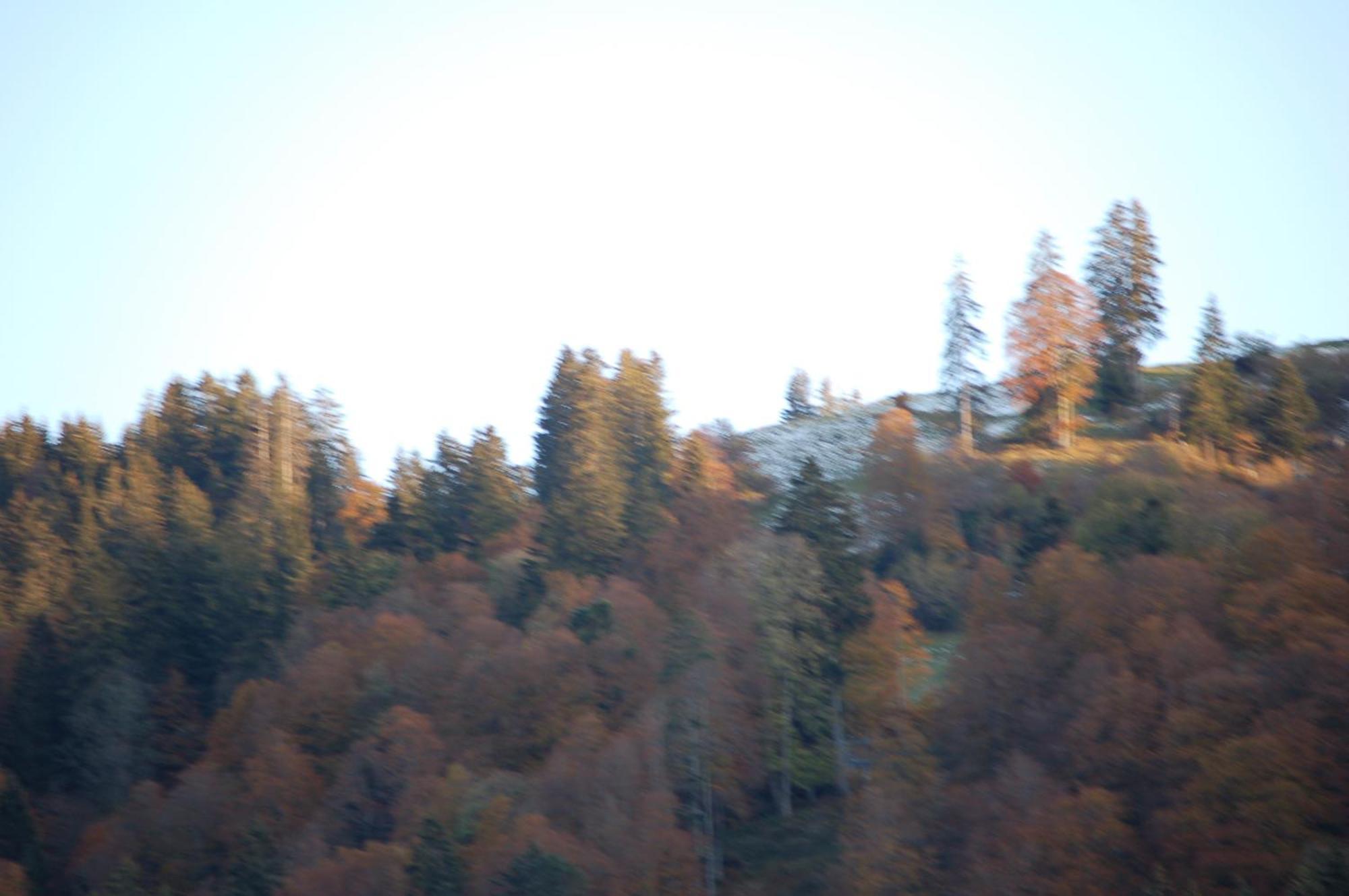 Alt St. Johann 斯卡弗利旅馆酒店 外观 照片